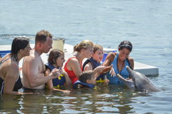 Catherine with Dolphin Research Center swim guests.