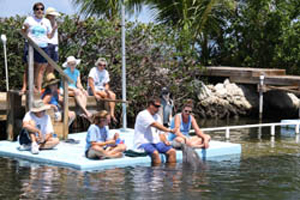 Adult DolphinLab Experiential Education