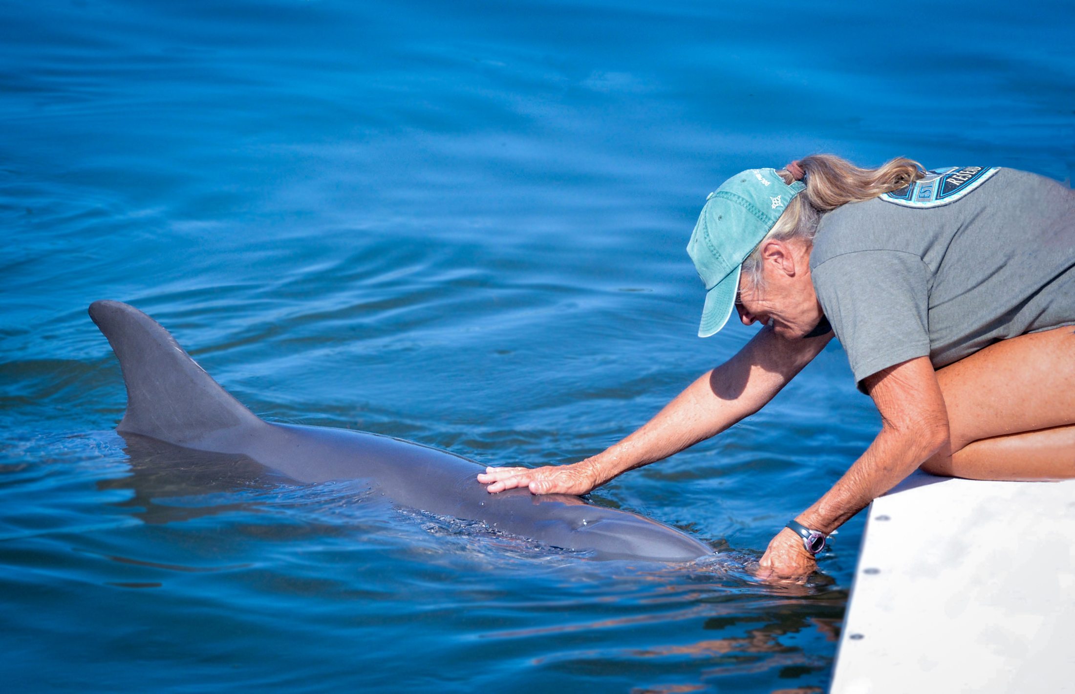 Dolphin with an instructor